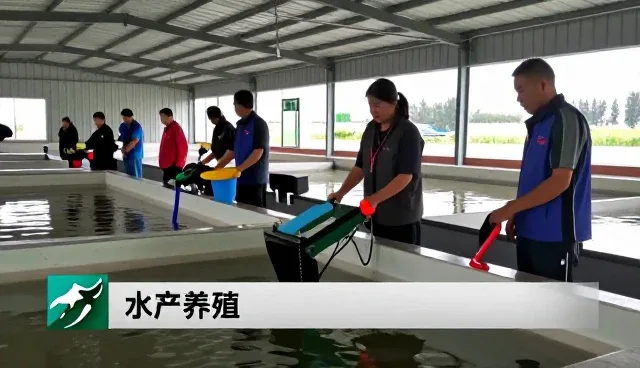 农业机械租赁服务视角下的农业技术推广农机